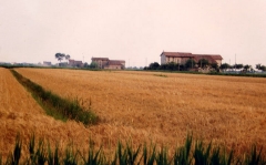 San Michele al T. - Terzo Bacino