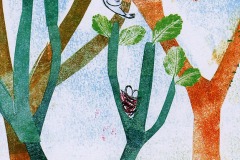 2014 - La rana di tutti i colori