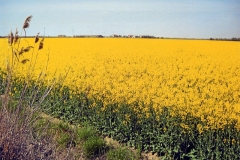 120515_3bacino_04