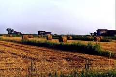 file0008