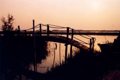 file0009