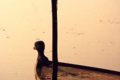 file0012_0