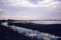 file0013_0