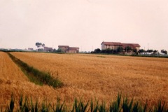 file0016_0